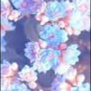 Meet your Posher, Justina